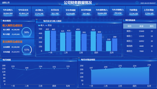 公司财务数据情况-迪赛智慧数