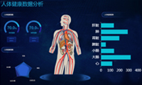 图形指标图，一图分析人体内部器官数据-迪赛智慧数