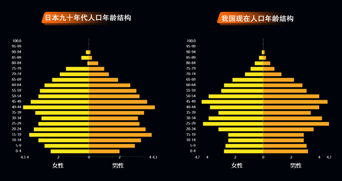 人口年龄金字塔-迪赛智慧数