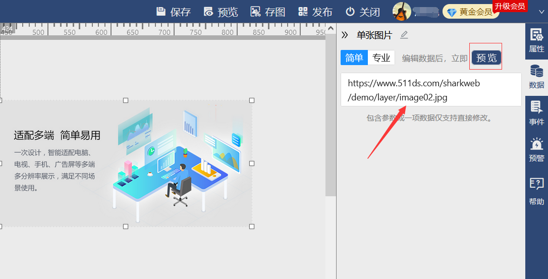 也可以简单配置图片路径-迪赛智慧数