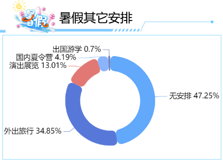 暑假其他安排-迪赛智慧数