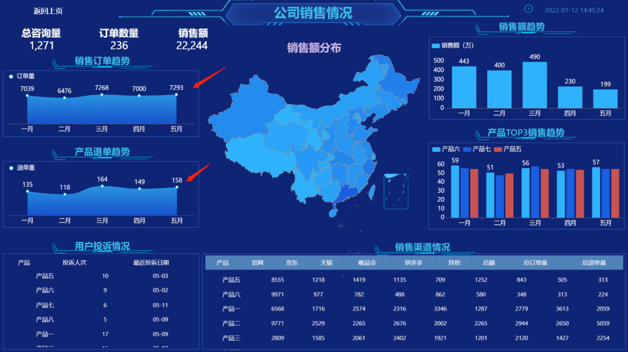 公司销售情况-迪赛智慧数