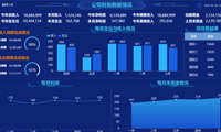 经典的数据可视化应用案例-迪赛智慧数