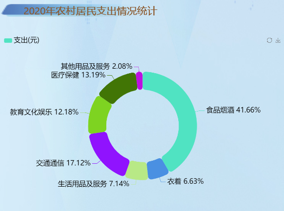 农村居民的支出的情况-迪赛智慧数