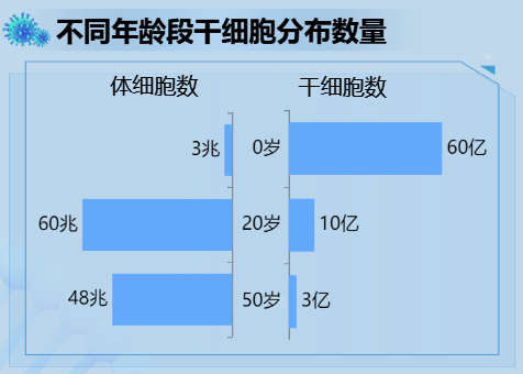 不同年龄段干细胞分布数量-迪赛智慧数