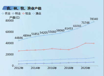 数据报表分析-迪赛智慧数