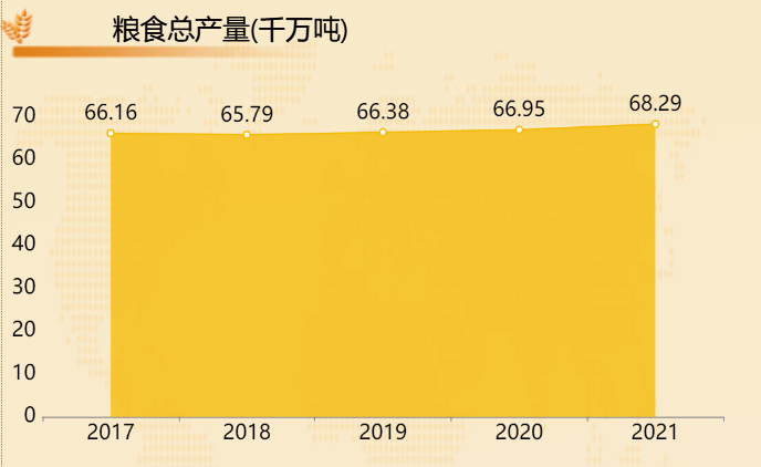 粮食总产量-迪赛智慧数