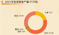 农作物数据可视化，我国粮食总产量每年都达到6.5亿吨以上-迪赛智慧数