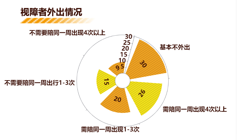 视障者外出情况-迪赛智慧数