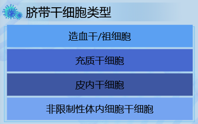 脐带血干细胞类型-迪赛智慧数