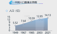 数据可视化分析我国人口情况-迪赛智慧数