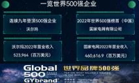 世界500强企业经营，沃尔玛连续第九年排名世界第一-迪赛智慧数