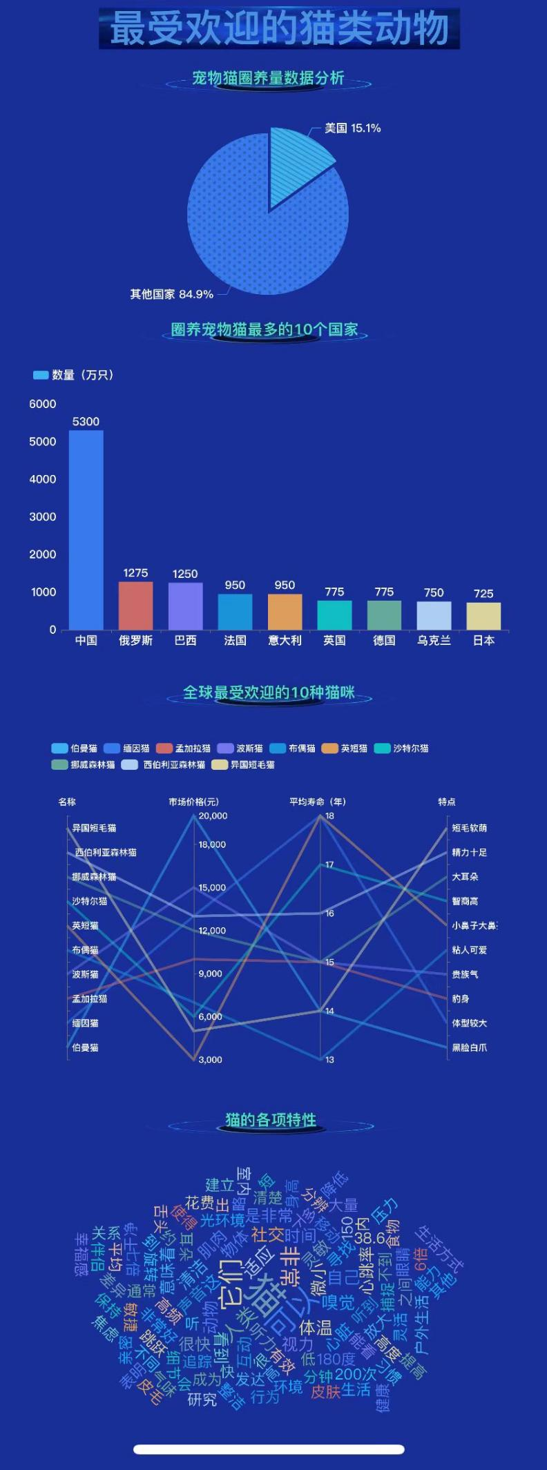 最受欢迎的猫类动物-迪赛智慧数