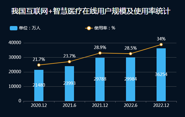 互联网+智慧医疗卫生服务在线使用规模经济-迪赛智慧数