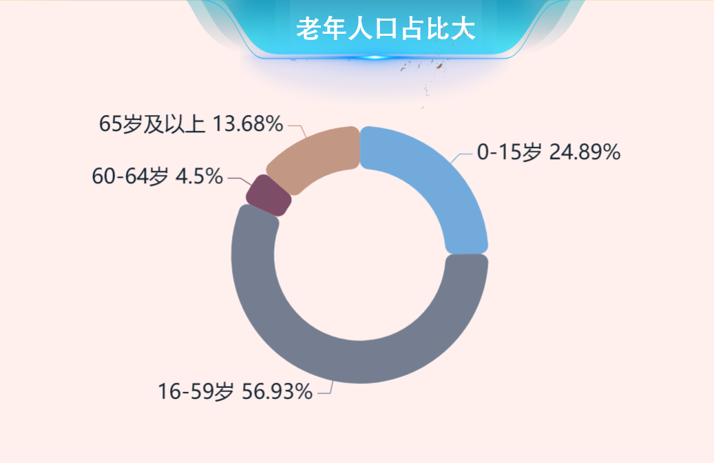 老年人占比大-迪赛智慧数