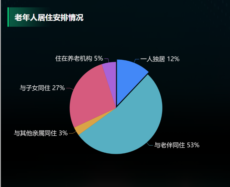 老年人居住安排情况-迪赛智慧数