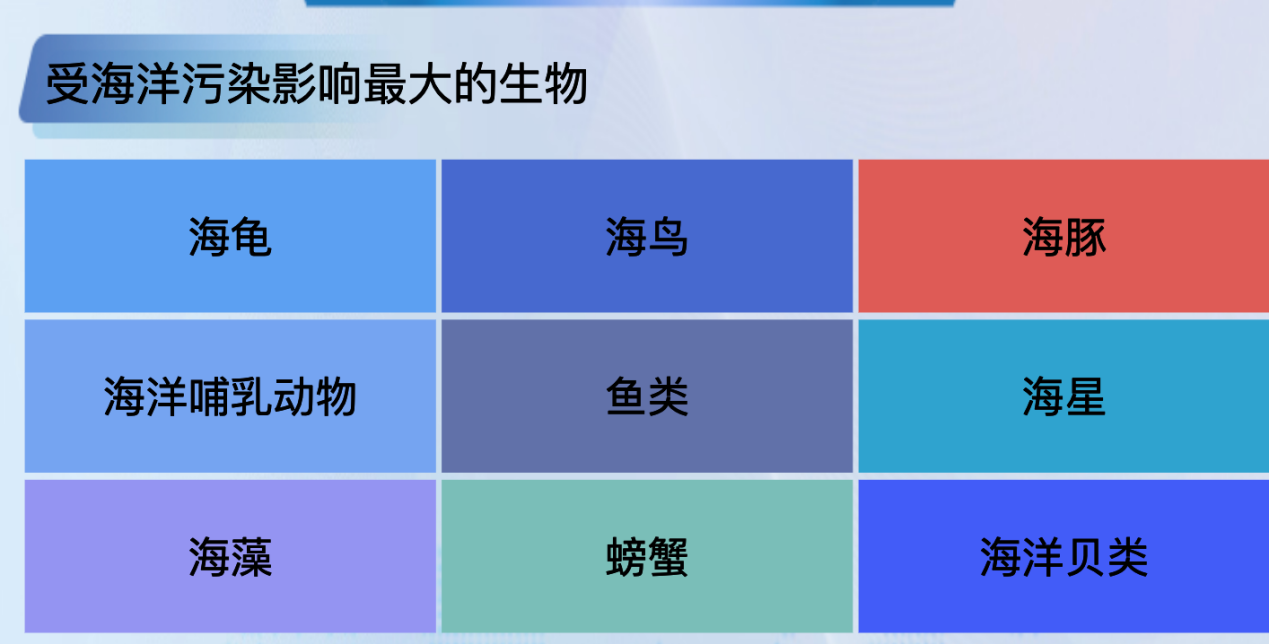 海洋塑料污生物-迪赛智慧数