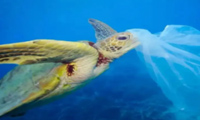 全球海洋塑料污染问题-迪赛智慧数