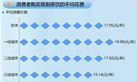 中国奶茶行业调查报告-迪赛智慧数