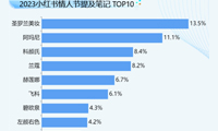 2023网络情节人-迪赛智慧数