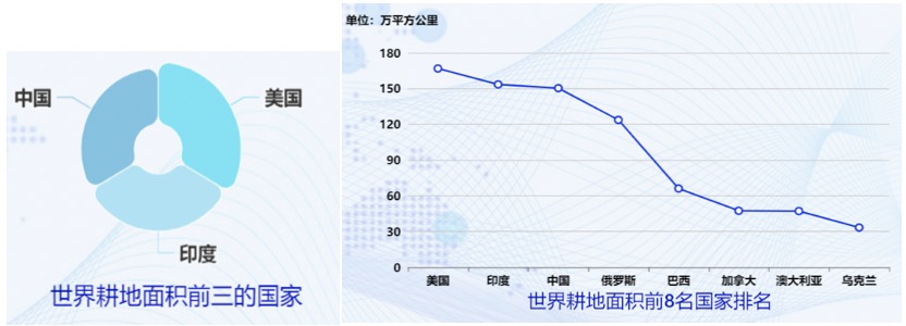 我国的粮食产量位列世界前几-迪赛智慧数