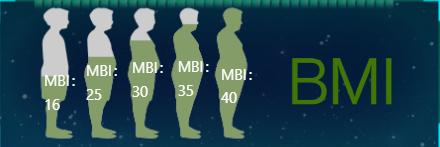 BMI数值-迪赛智慧数
